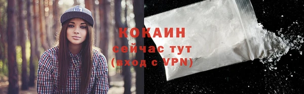 индика Верея