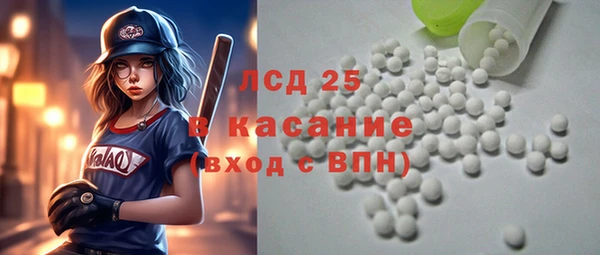 индика Верея