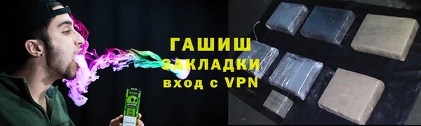индика Верея