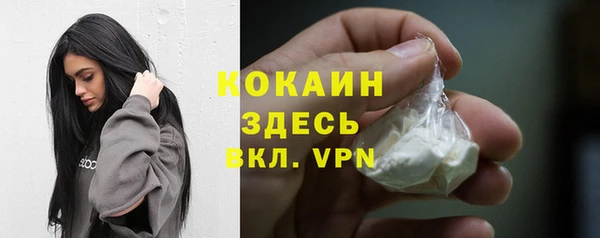 индика Верея