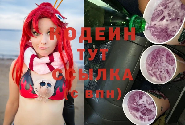 индика Верея