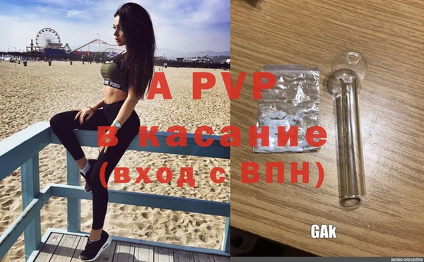 индика Верея