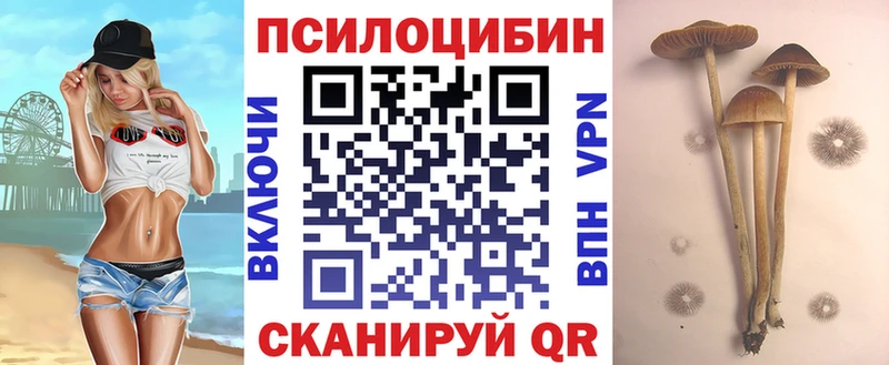 цены   omg сайт  нарко площадка официальный сайт  Бузулук  Псилоцибиновые грибы Psilocybe 