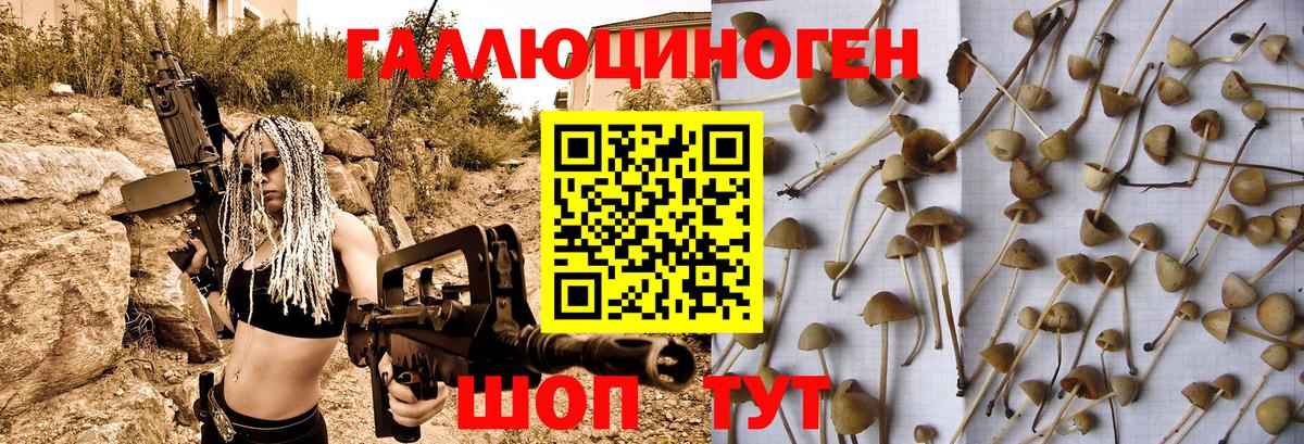 Галлюциногенные грибы мицелий  Псилоцибиновые грибы Psilocybe  Бузулук 