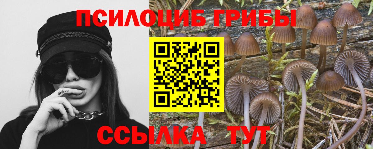 Псилоцибиновые грибы Cubensis Бузулук