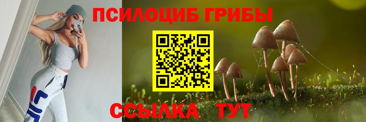 что такое наркотик  Псилоцибиновые грибы GOLDEN TEACHER  Вход с VPN  Бузулук 